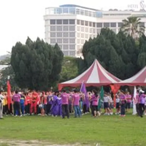 2014母校小学各种活动 20